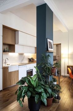 a living room filled with lots of furniture and plants in pots on top of a hard wood floor