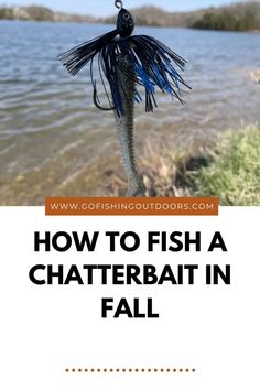 how to fish a chatterbath in fall with text overlay that reads, how to fish a chatterbath in fall