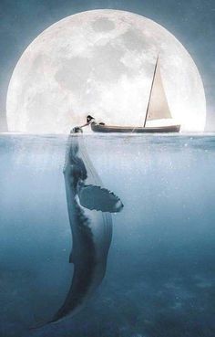 an animal floating in the ocean with a sailboat on it's back under water