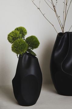 two black vases with green plants in them