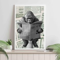 a gorilla reading a newspaper on top of a shelf