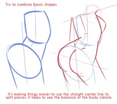 how to draw the torso and upper half of a woman's body in three easy steps