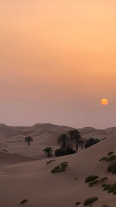 the sun is setting over the desert with palm trees in the foreground and sand dunes on either side