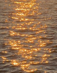 Coastal Charm: Seaside Serenity Golden Hour Summer Aesthetic, Golden Water Aesthetic, Orange Water Aesthetic, Golden Aesthetic Background, Golden Summer Aesthetic, Theseus Aesthetic, Hemera Aesthetic, Gold Hour Aesthetic, Golden Light Aesthetic