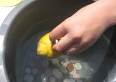 a person holding a yellow pepper in a pot filled with coins and lemons on the side