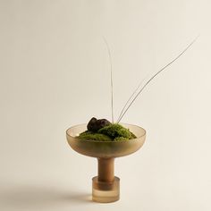 a small bowl with moss and rocks in it