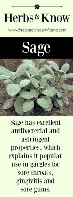 a sign that says sage is an excellent and beneficial herb for people who want to use it