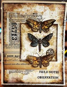 an old book with two butterflies on it and the words field notes observation written below