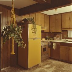 a yellow refrigerator in a kitchen next to a potted plant on top of a stove