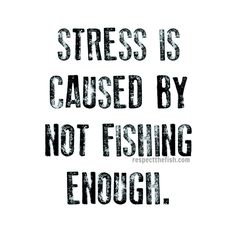 Stress is caused by NOT enough fishing! Funny Fishing Memes, Fishing Hacks, Bass Fishing Tips, Fishing Signs, Fishing Pictures, Fishing Decor, Fishing Girls