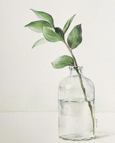 a watercolor painting of a plant in a glass bottle with water on the side