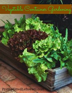 lettuce growing in a garden box with the words vegetable container gardening on it