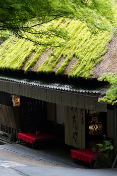 an old building with grass growing on the roof