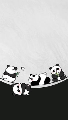 three pandas are sitting on the edge of a boat and one is eating bamboo