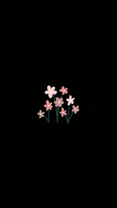 some pink flowers on a black background