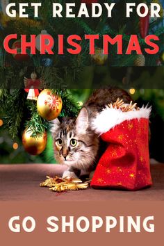 a cat sitting in a christmas stocking bag with the words, get ready for christmas go shopping