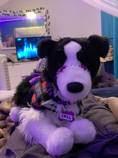 a black and white dog sitting on top of a bed