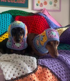 two dachshunds wearing crocheted hats on a bed with blankets and afghans