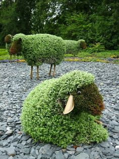 some very pretty bushes in the shape of animals