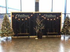 christmas trees and chairs in front of a black wall with lights on the sides, surrounded by large windows