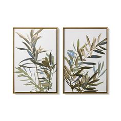 two framed paintings with green leaves on white background, one in gold and the other in blue