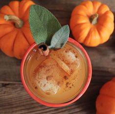 an orange cup filled with liquid next to pumpkins