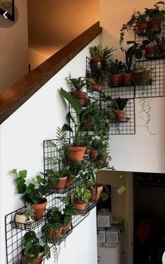 some plants are growing on the side of a stair case that is attached to a wall