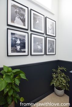 there is a potted plant in the corner of this room with pictures on the wall