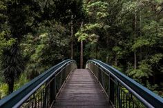 a bridge in the middle of a forest with lots of trees on both sides and one end