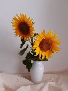 three sunflowers in a white vase on a bed