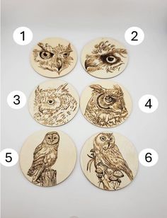 six wooden coasters with owls on them and the numbers in each one's circle