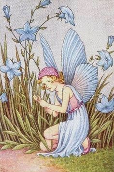 a fairy sitting on the ground next to blue flowers and holding a flower in her hand