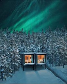 two cabins in the middle of a snowy forest with green lights above them and snow covered trees