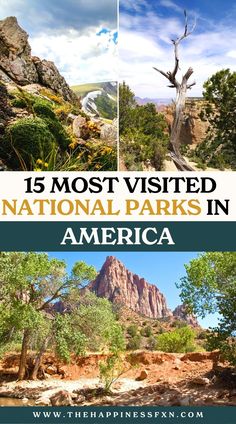 the most visited national parks in america