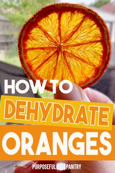 Dehydrated orange slice for dried orange tutorial How To Dry Orange Slices In Dehydrator, How To Dehydrate Oranges In Dehydrator, How To Dehydrate Oranges, Dehydrate Oranges, Dehydration Recipes, Dehydrating Vegetables, Dry Orange Slices, Dehydrated Oranges, Dehydrator Recipes Fruit