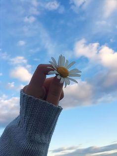 a person holding a daisy in their hand against a blue sky with white clouds behind them