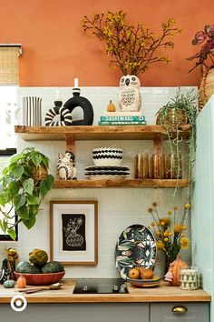 the kitchen is decorated with plants, plates and vases on shelves above the stove