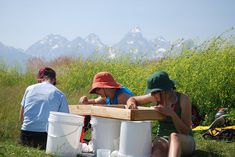 three people sitting on the grass with buckets