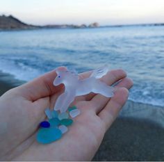 a hand is holding a small plastic horse on the sand near the water's edge