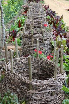 several baskets made out of branches in a garden