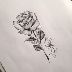 a drawing of a rose with leaves on it