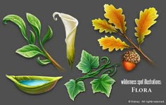 various leaves and flowers on a gray background with the words, welcome fall holidays flora