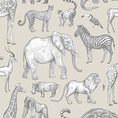 an elephant, giraffe, zebra and other animals are depicted in this hand drawn illustration