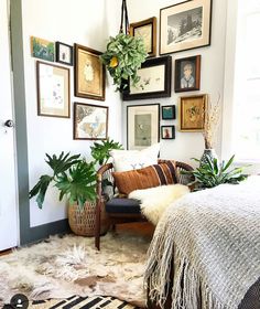 the instagram page shows an image of a bedroom with plants and pictures on the wall