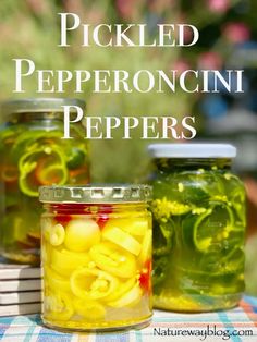 pickled pepperonii peppers in jars on a picnic table with text overlay