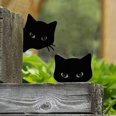 two black cats sitting on top of a wooden fence next to green plants and bushes