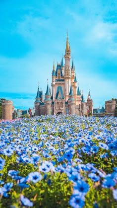 the castle is surrounded by blue flowers