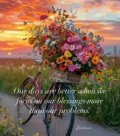 a bicycle with a basket full of flowers on the back is parked in front of a field