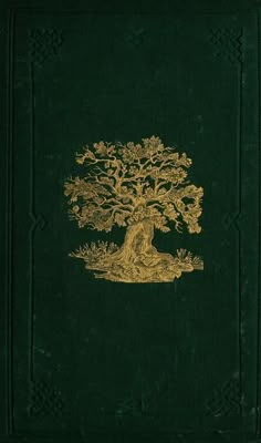 the front cover of an old book with gold foil on green paper, depicting a tree