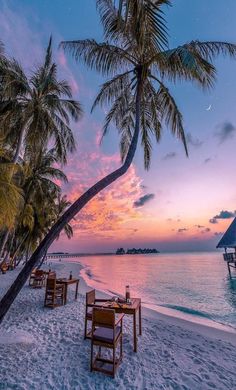 the beach is lined with palm trees and chairs at sunset, while the sun sets in the distance